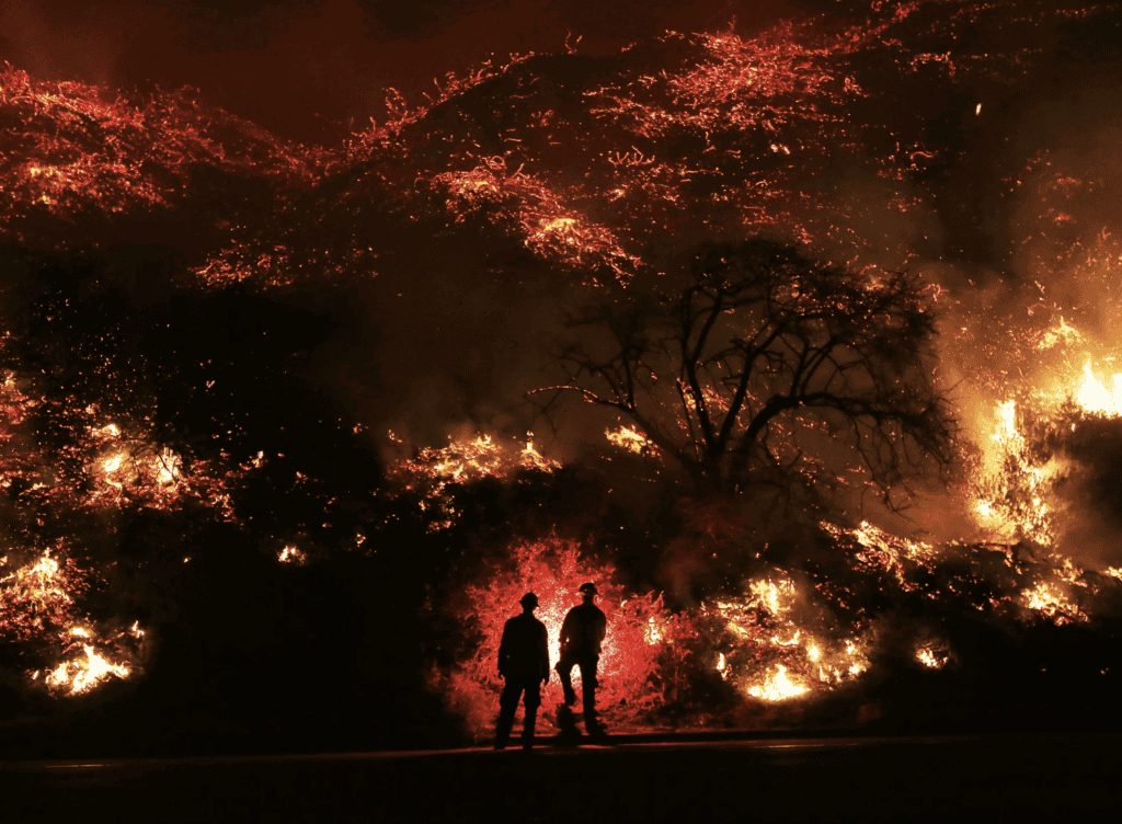 Los Angeles Music Community